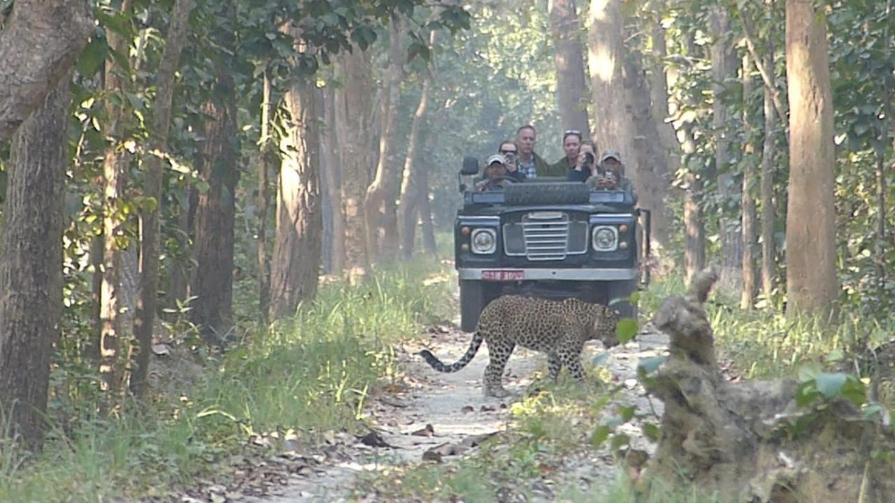 Tiger Tops Karnali Lodge Bardiya Exterior photo