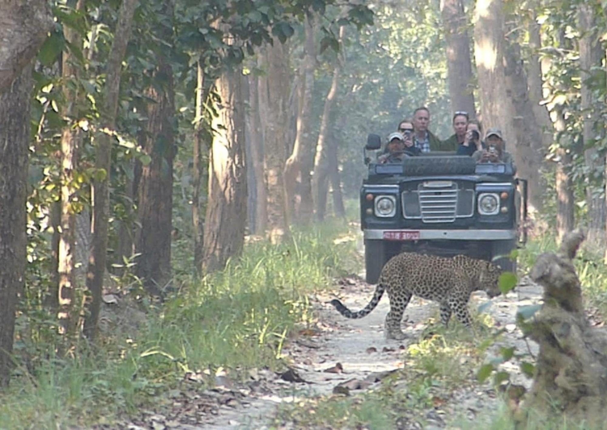Tiger Tops Karnali Lodge Bardiya Exterior photo